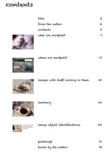 Yellowstone Mudpots book contents